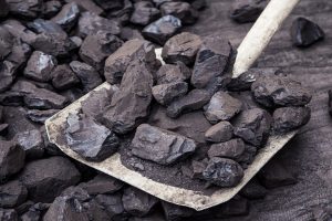 Mengenal Berbagai Bahan Baku Arang dan Kegunaannya